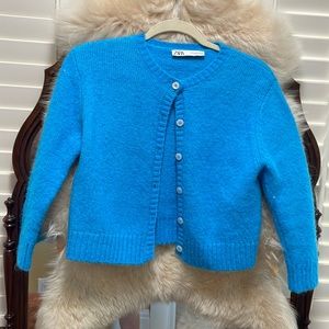 Zara cropped sweater